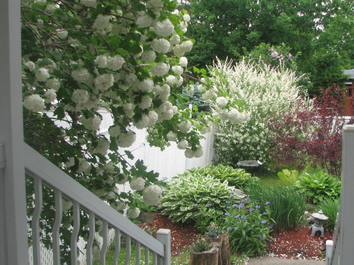 Magnolia B&B Granby Exterior foto
